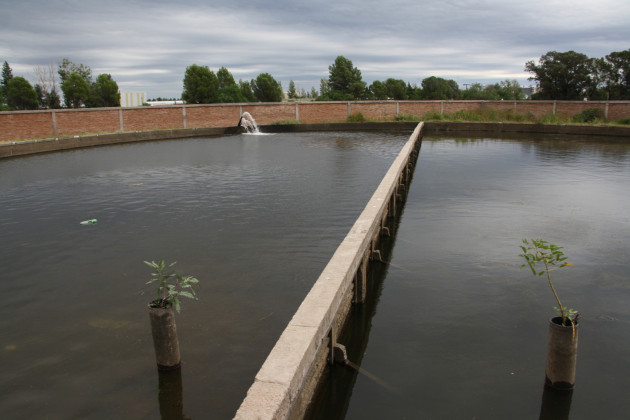 La Subgerencia de Acueductos perteneciente a San Luis Agua informó que en este jueves se efectuará una interrupción del servicio de agua cruda. 