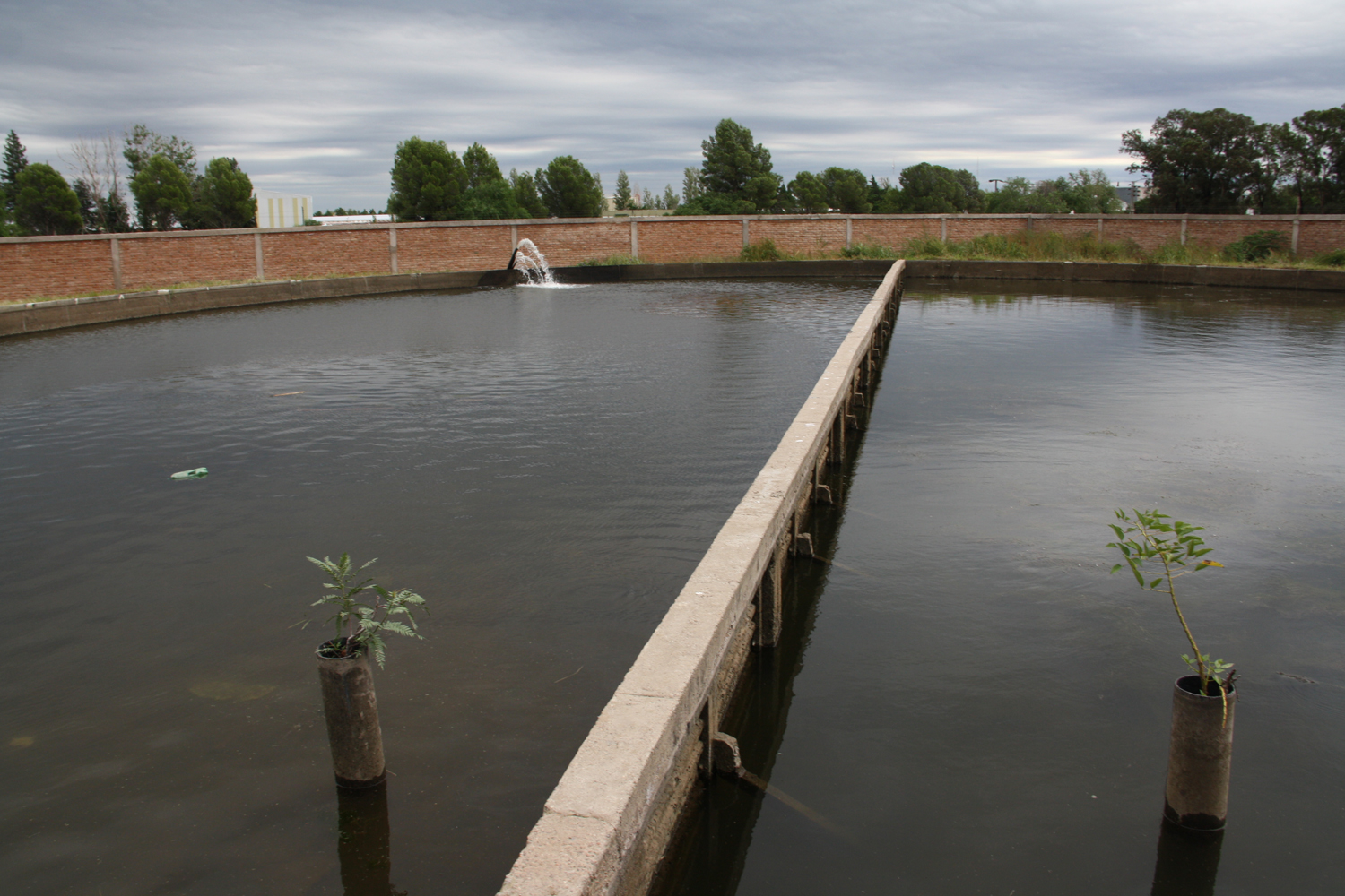 Suspensión del servicio de agua cruda