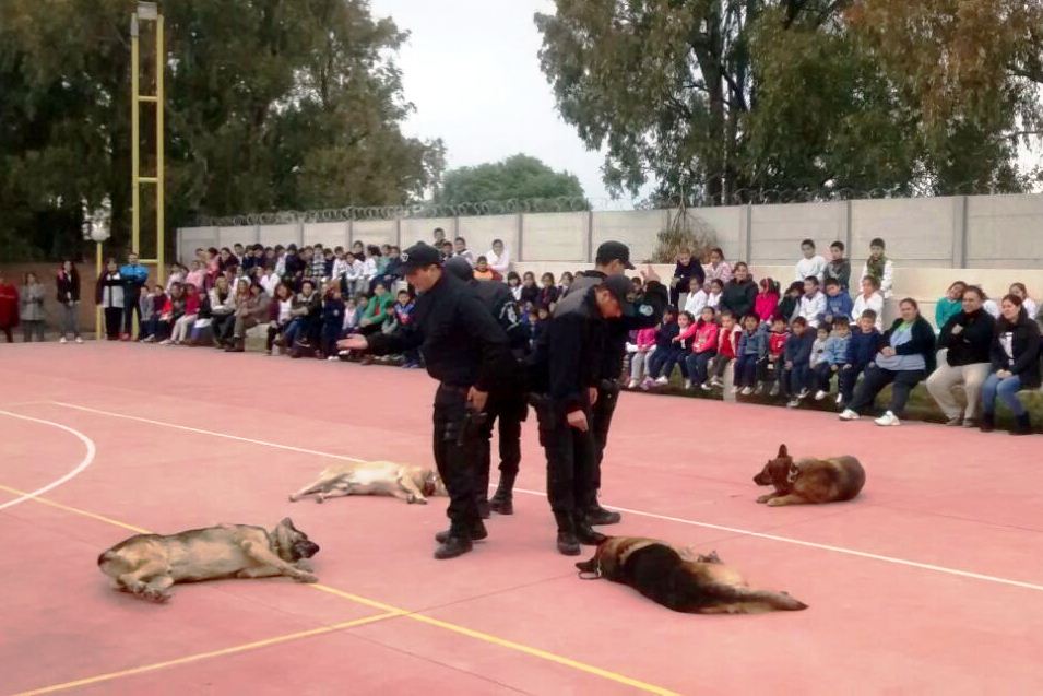 Realizaron exhibiciones de la División Canes de la Policía provincial