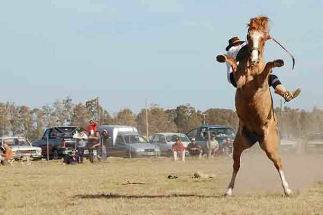 El sur de la provincia se pone de fiesta