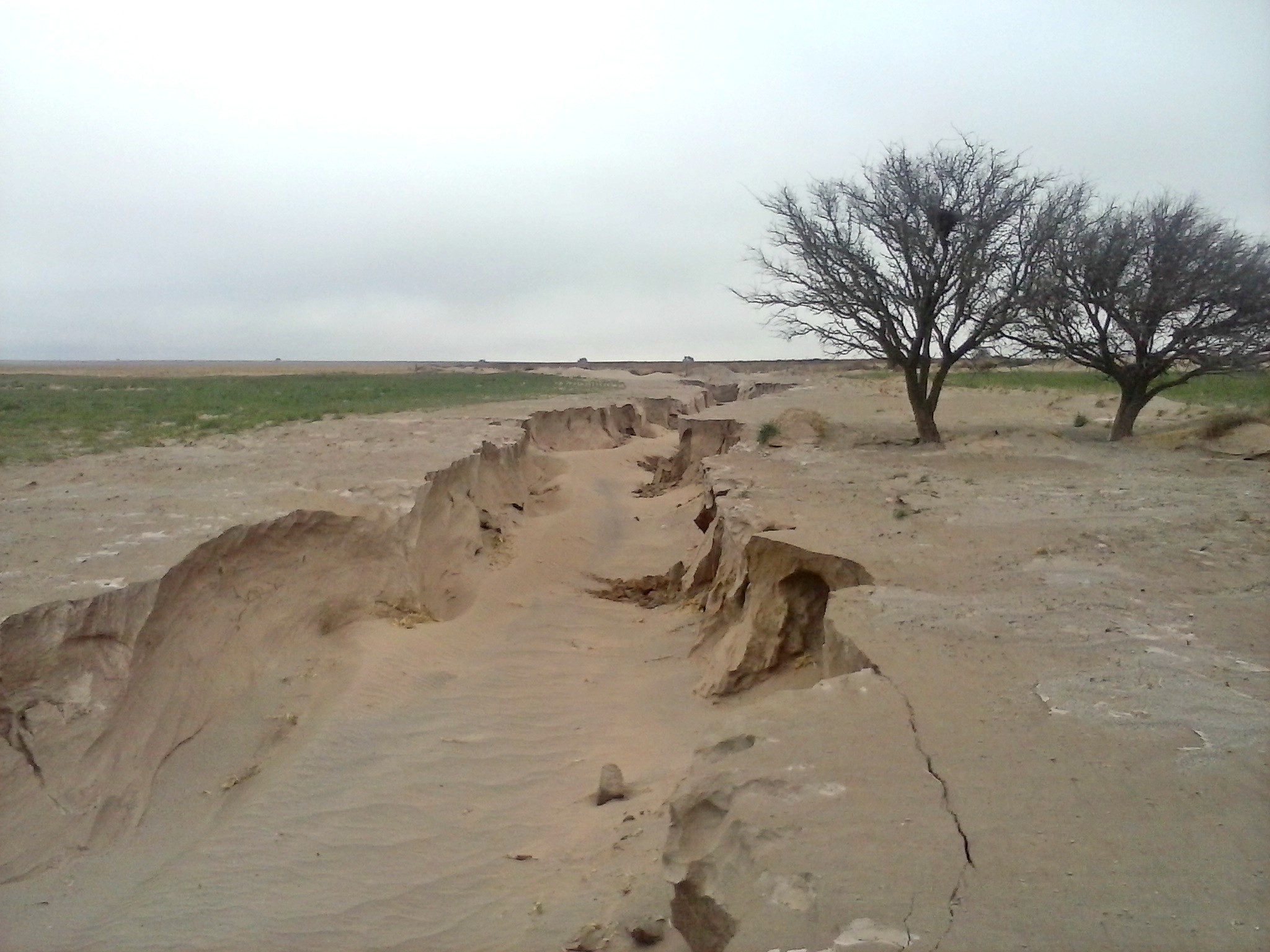 Cuenca del Morro: dictarán una capacitación sobre desertificación y degradación de suelos