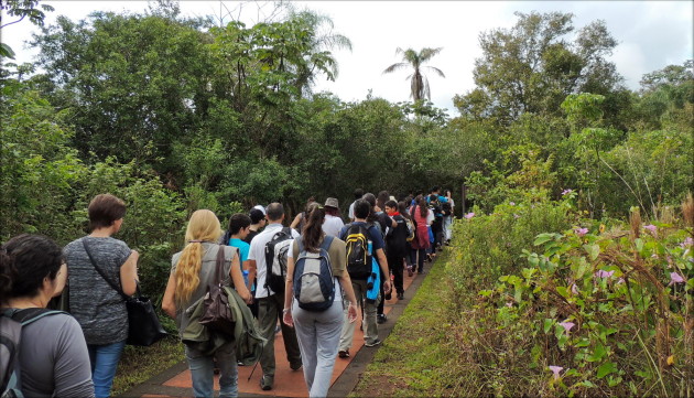 Durante 5 horas, pudieron descubrir los secretos del Parque Nacional Iguazú.