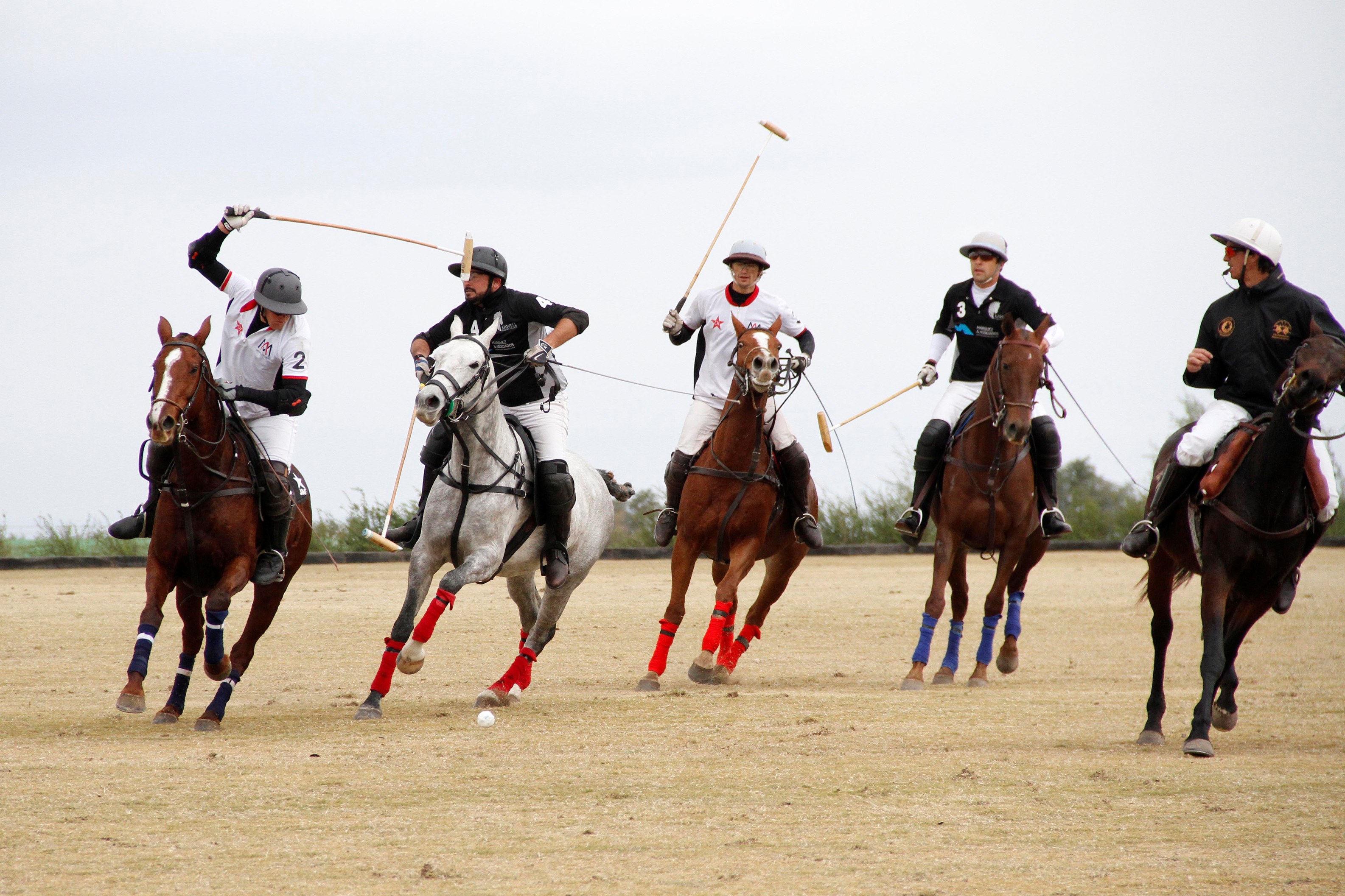 Los Sauces y Chapaleufú son finalistas del Torneo