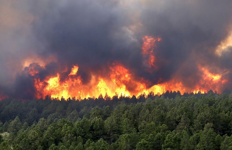 Acciones de concientización para evitar los incendios forestales