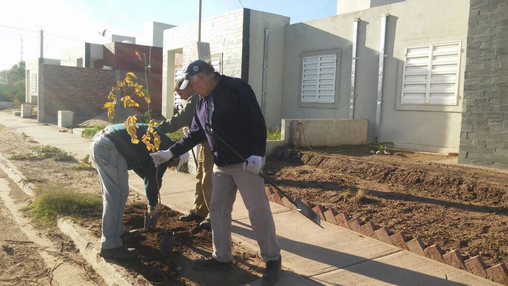 Continúa la forestación en la ciudad de San Luis