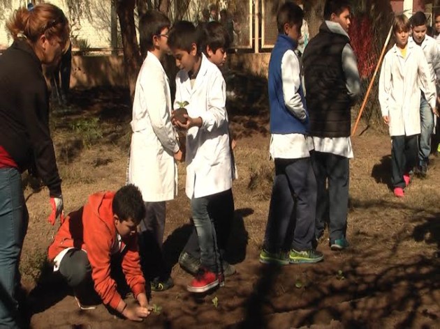 Son los chicos, en conjunto con los docentes y técnicos del Ministerio, quienes se encargan de la siembra y el cuidado de la huerta. 