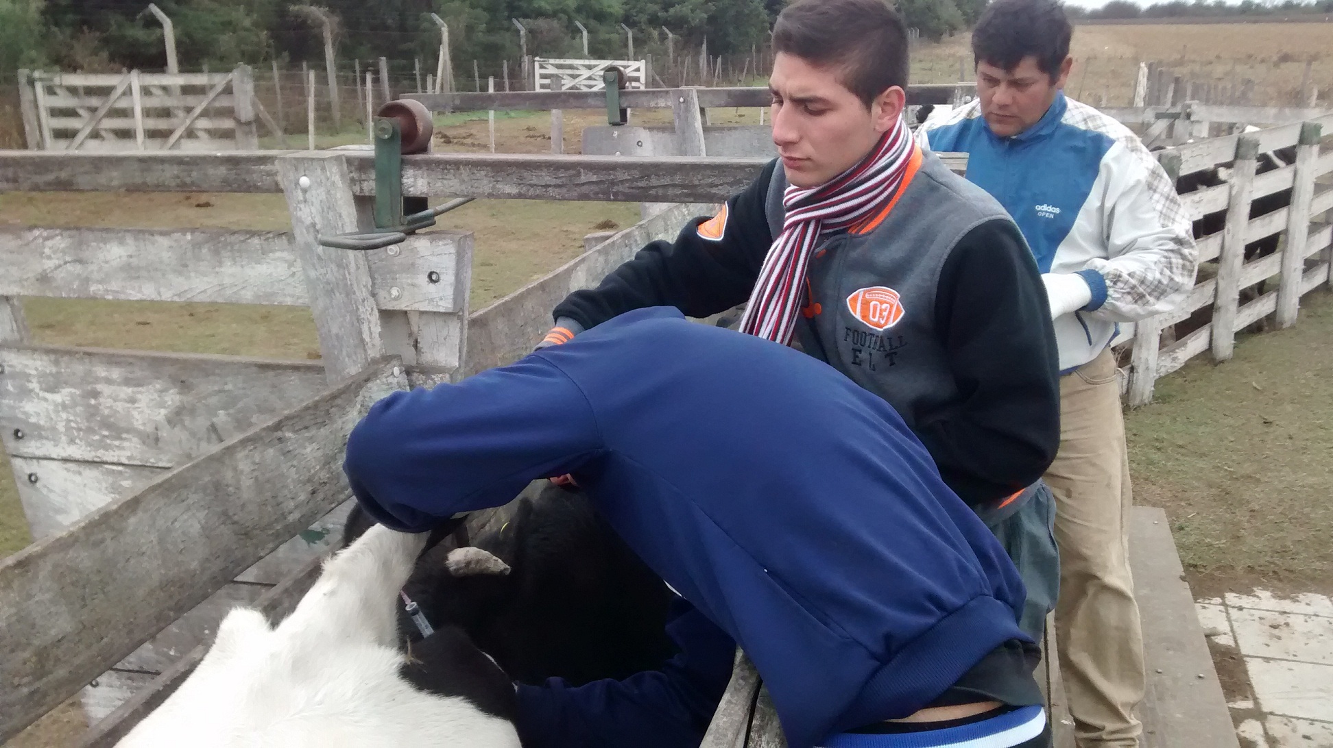 “Aprendemos Trabajando”: continúan las asistencias sanitarias a los colegios agrarios