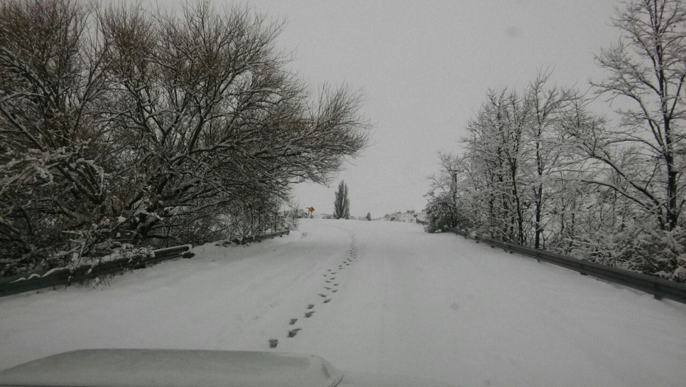 Estado de las rutas nevadas