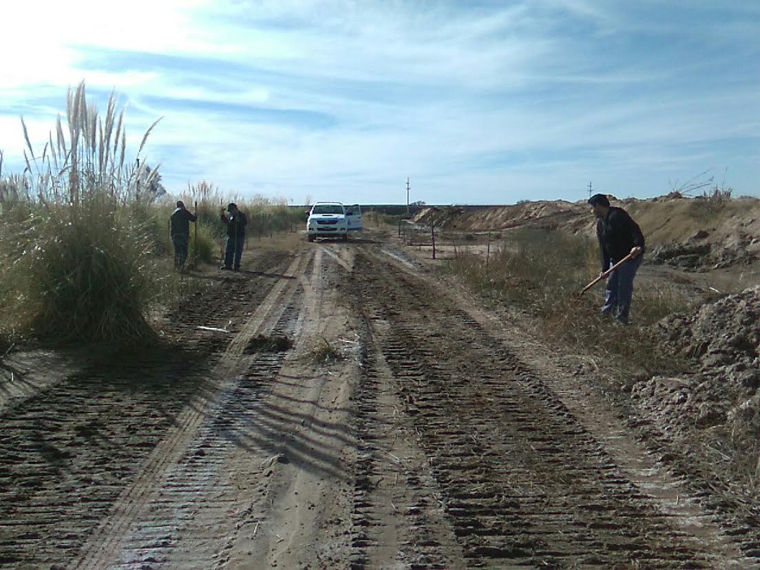 San Luis Agua suma su aporte al plan de forestación