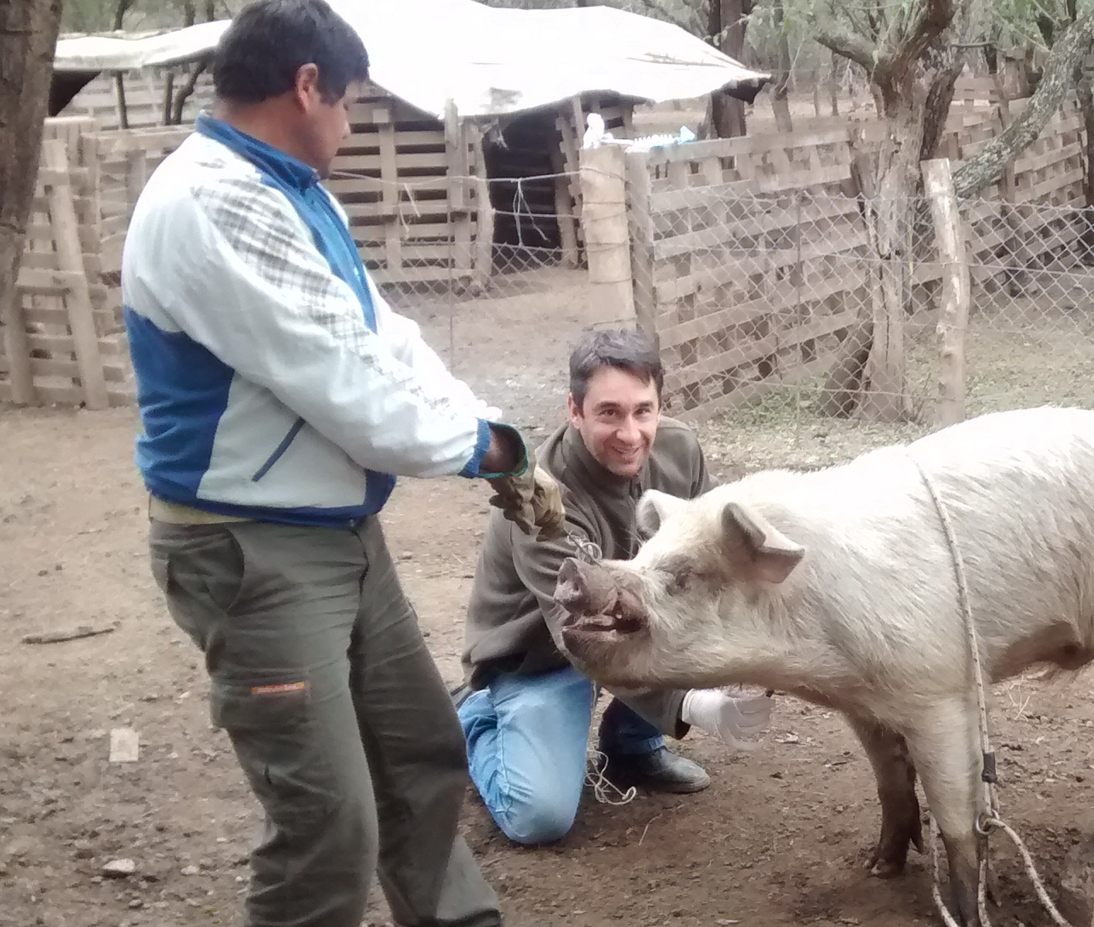 Sanidad Animal: Asistieron a pequeños productores porcinos de Los Molles