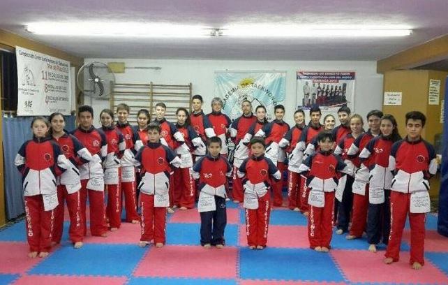 Taekwondo: campeones panamericanos y cosecha de medallas para San Luis