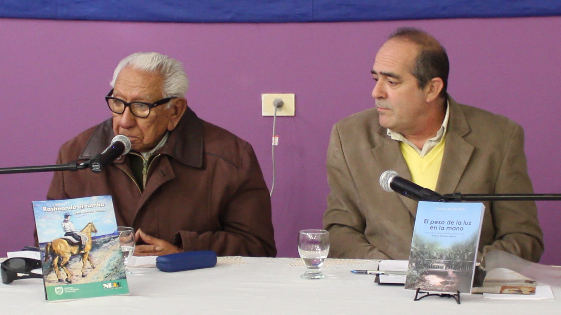 Tobares y Romero Borri presentaron sus libros en San Martín