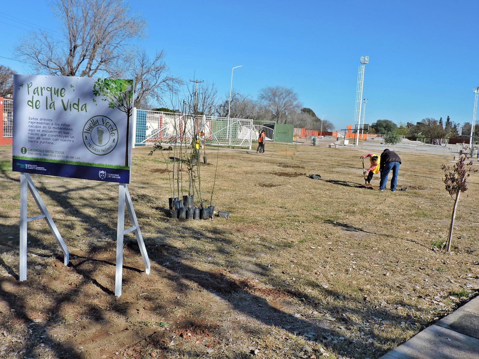 La Cerámica recibió los primeros árboles para inaugurar su “Parque de la Vida”