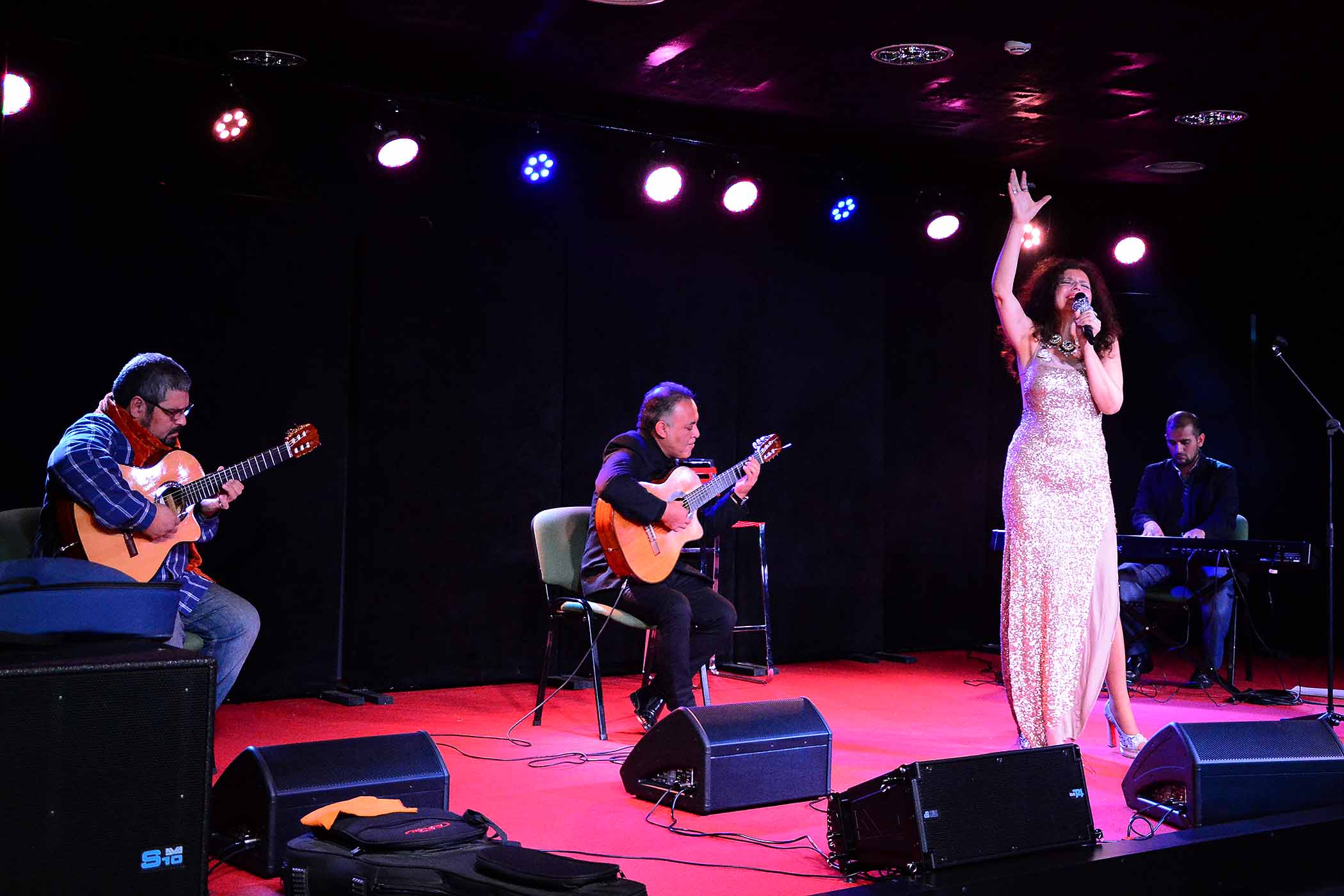 El tango, a través de Viveka Rosa, se presentó en el Salón Blanco