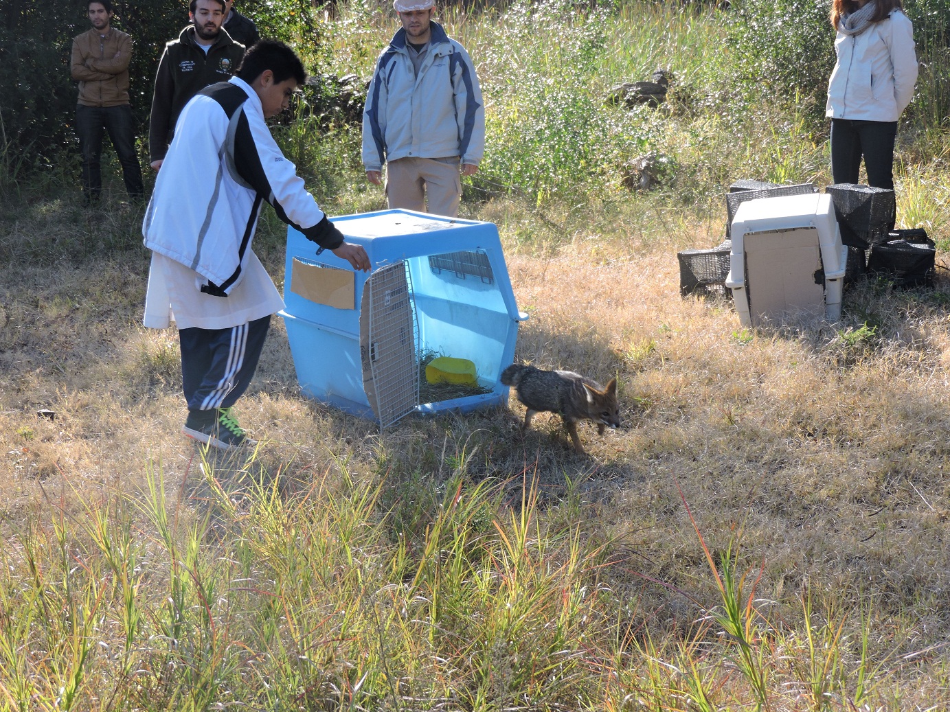 Liberación de animales y conciencia ambiental en Luján