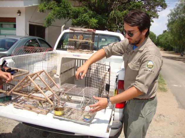 Rescataron aves en diferentes operativos en La Tranca