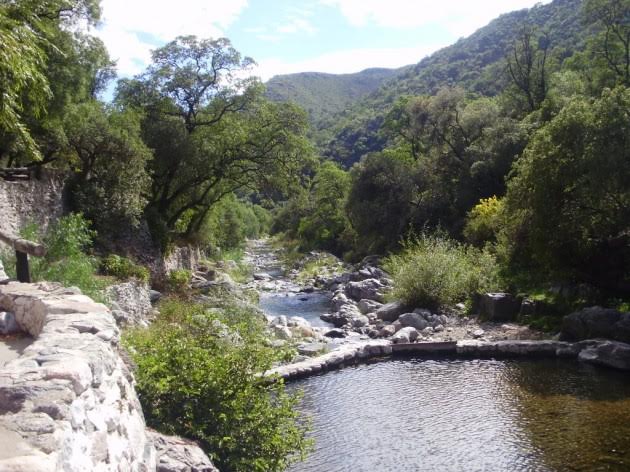 Taller de aprovechamiento forestal sustentable de bosques nativos