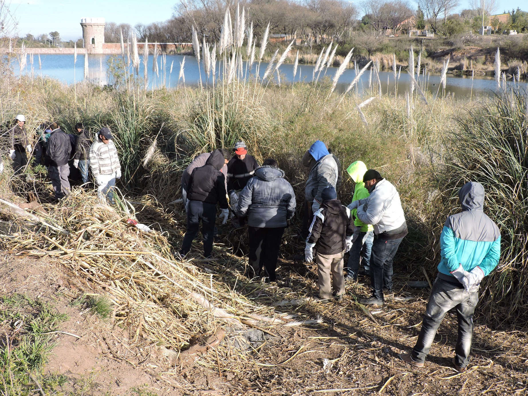 Comenzó la producción de cortaderas para forestar la Cuenca del Morro