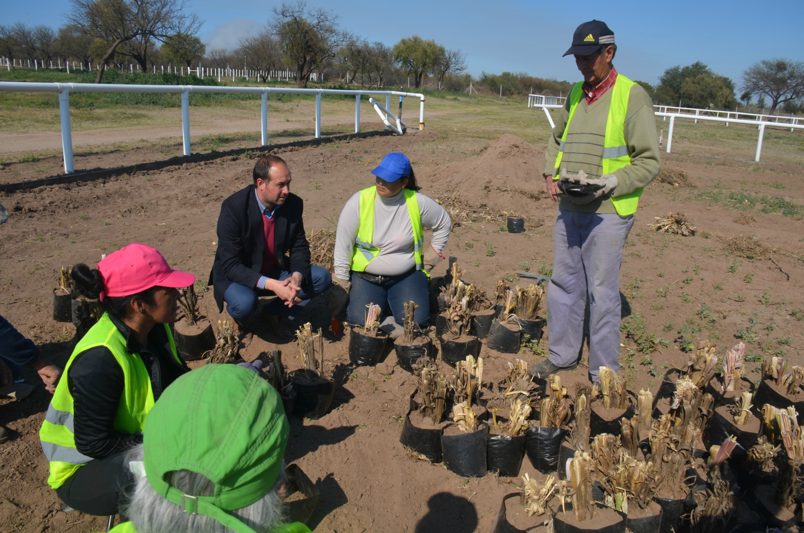 Cuenca del Morro: la producción de cortaderas ya superó los 17.000 plantines