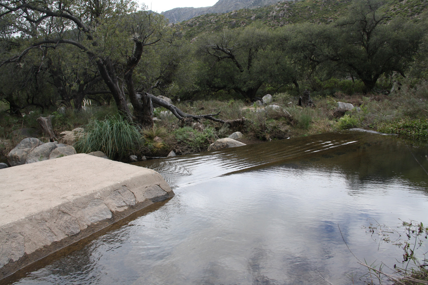 Mantenimiento y limpieza sobre el sistema de canales de San Francisco del Monte de Oro