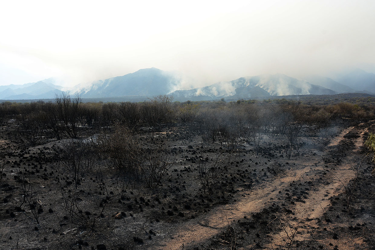 Hubo un reinicio de incendio en Rumiguasi pero está controlado