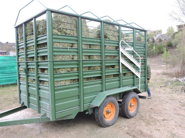 Además de los trabajos de sanación, los veterinarios del Ministerio entregaron pasto y maíz a los productores.