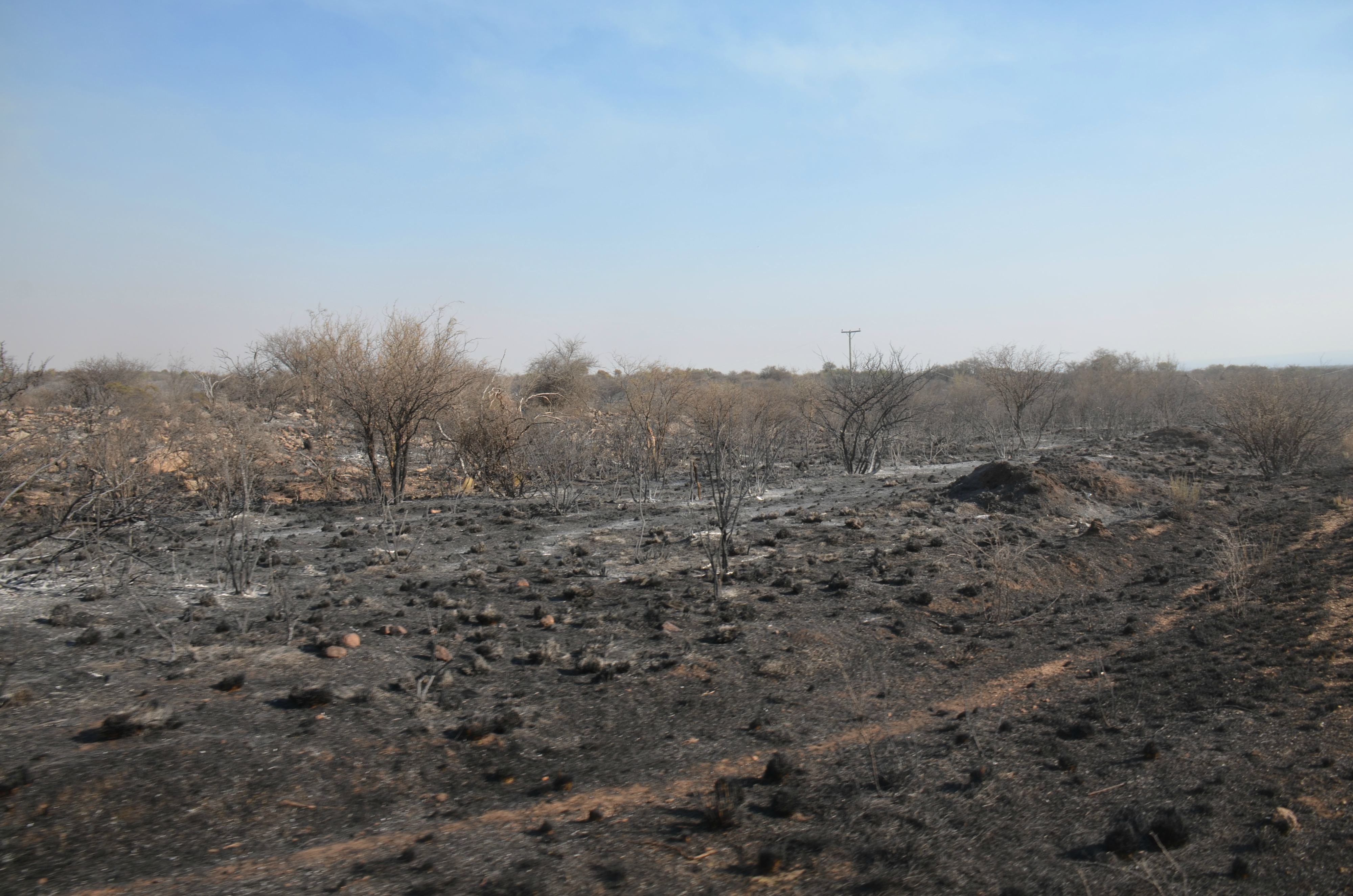 Ya son más de 35 mil las hectáreas afectadas por el fuego en San Luis