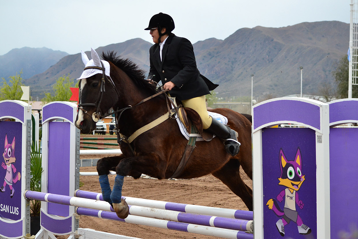 Torneo de salto en el Centro de Actividades Hípicas