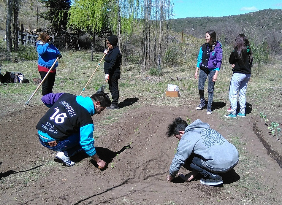 El Ministerio construyó dos nuevas huertas escolares