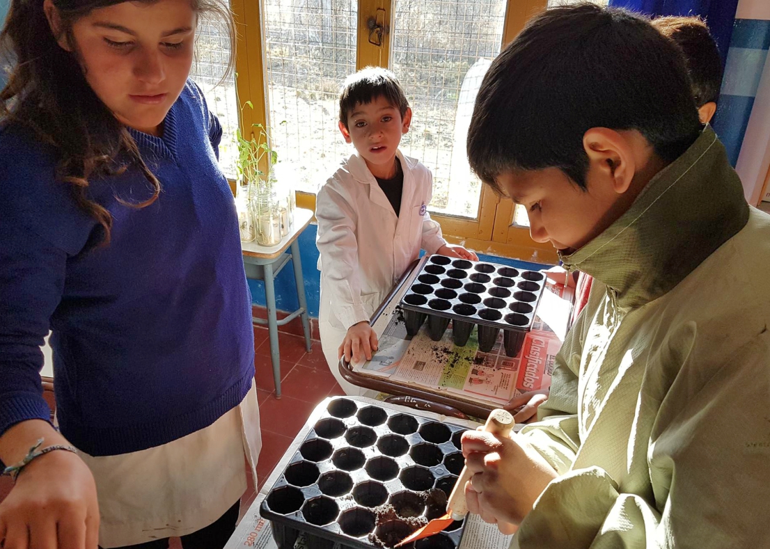 Huella Verde Escuelas: 45 establecimientos trabajan en la germinación de las semillas recolectadas