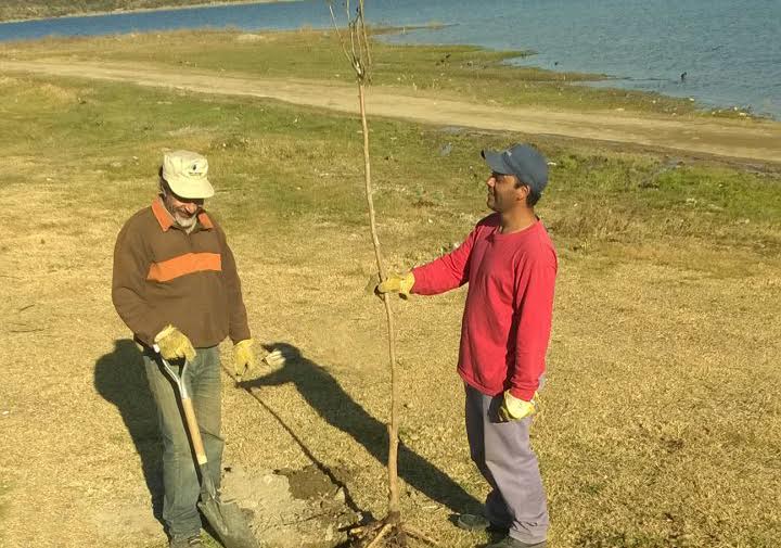 Forestación en el peridique Las Palmeras