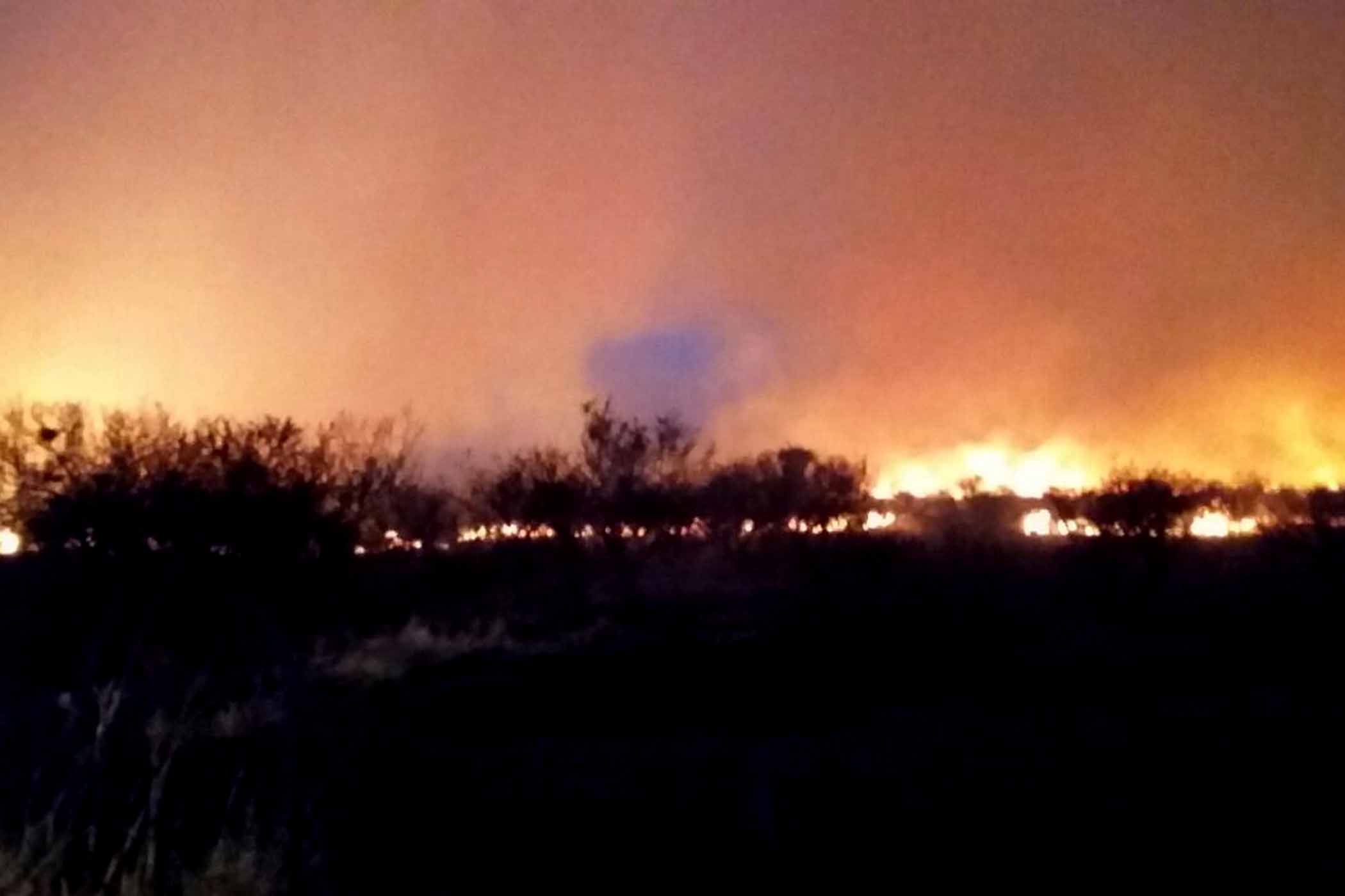 “No sé cuál es el objetivo de quienes inician el fuego, porque el daño es contra todos”