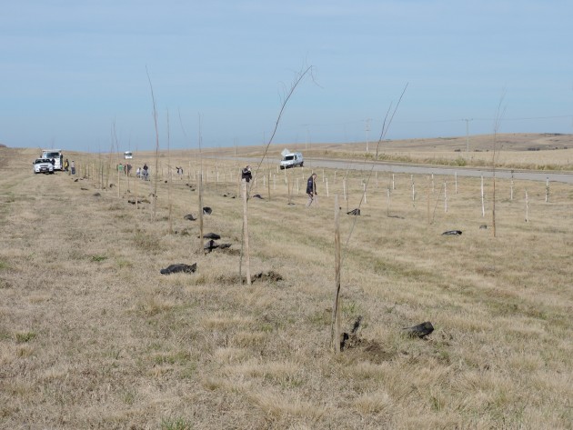 El Ministerio lanzará este martes el proyecto “Camino a la conciencia ambiental”