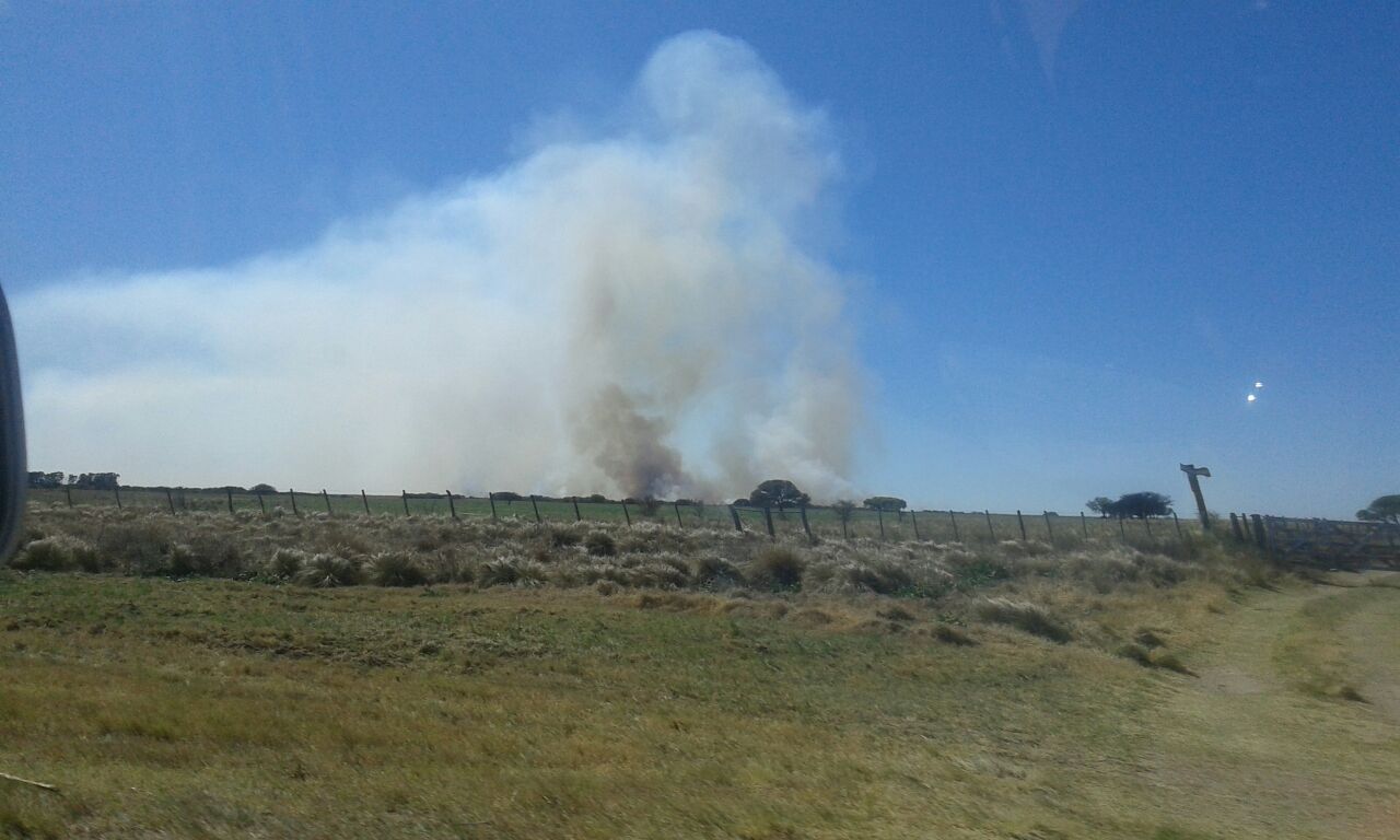 Combaten focos ígneos en San Francisco y en la zona de Lafinur