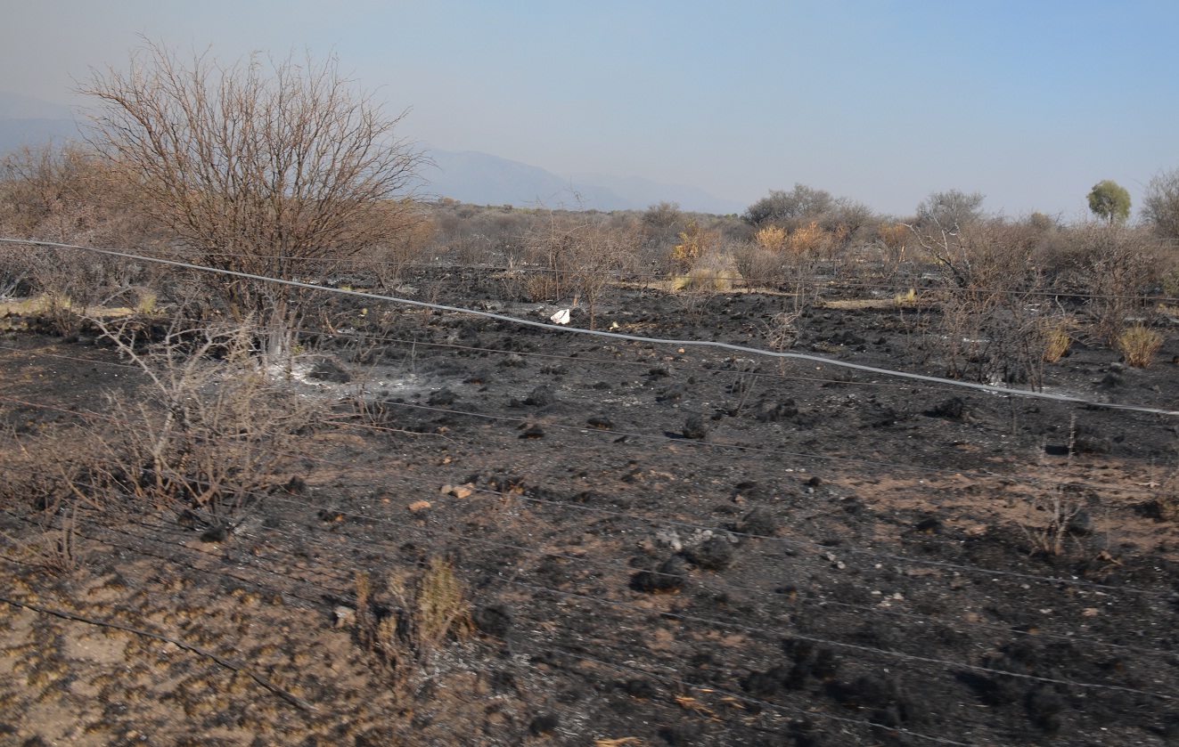 Cerca de 16 mil hectáreas sufrieron las consecuencias del fuego