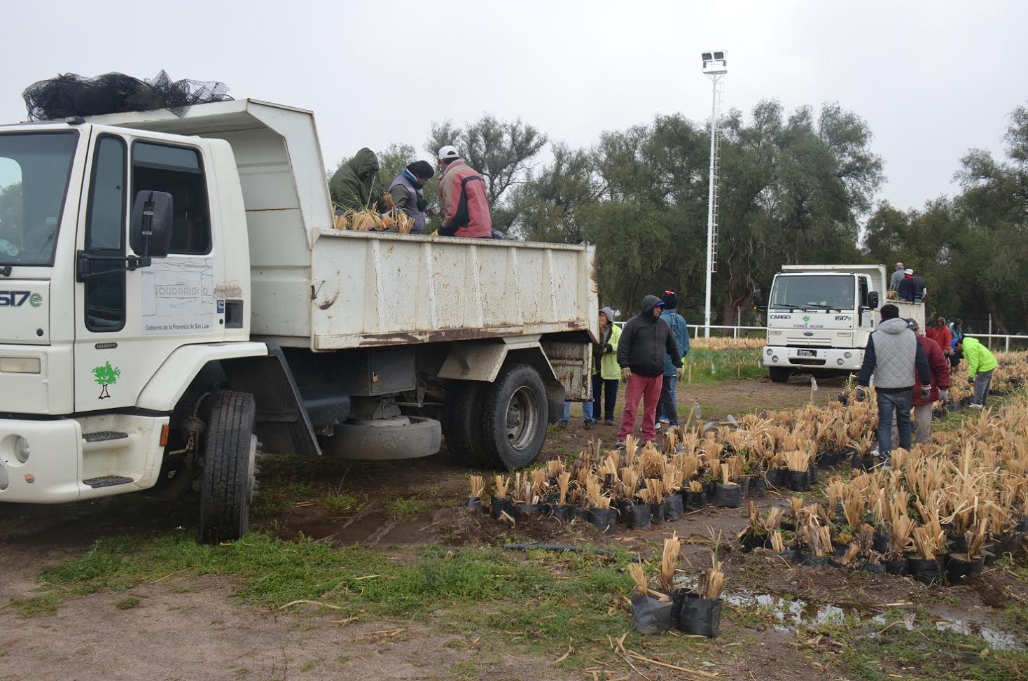 Cuenca del Morro: 5 mil cortaderas iniciaron su viaje forestal