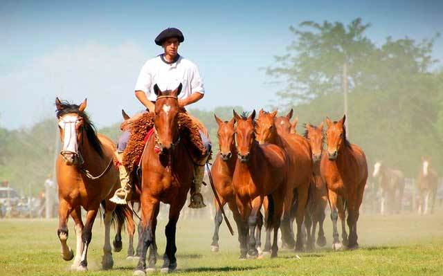 Cuenta regresiva para la Fiesta Provincial de la Tradición