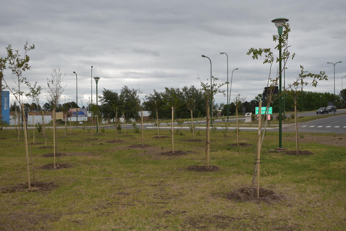 Embellecimiento de las zonas verdes de las autopistas puntanas