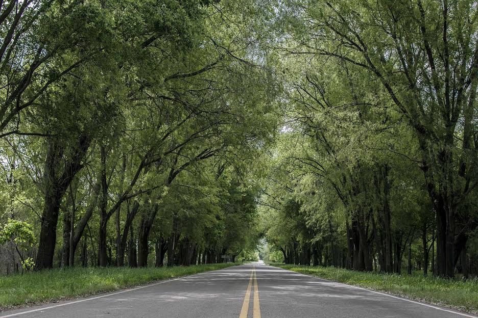 Las altas temperaturas continuarán durante el fin de semana