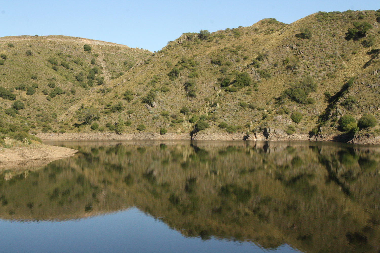 Informe periódico de San Luis Agua sobre los niveles actuales de cota