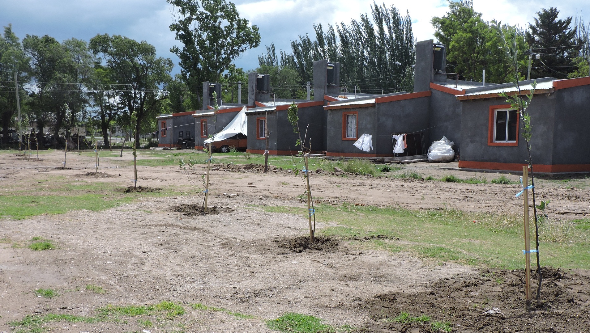 Plantaron frutales en viviendas sociales de La Toma y Concarán