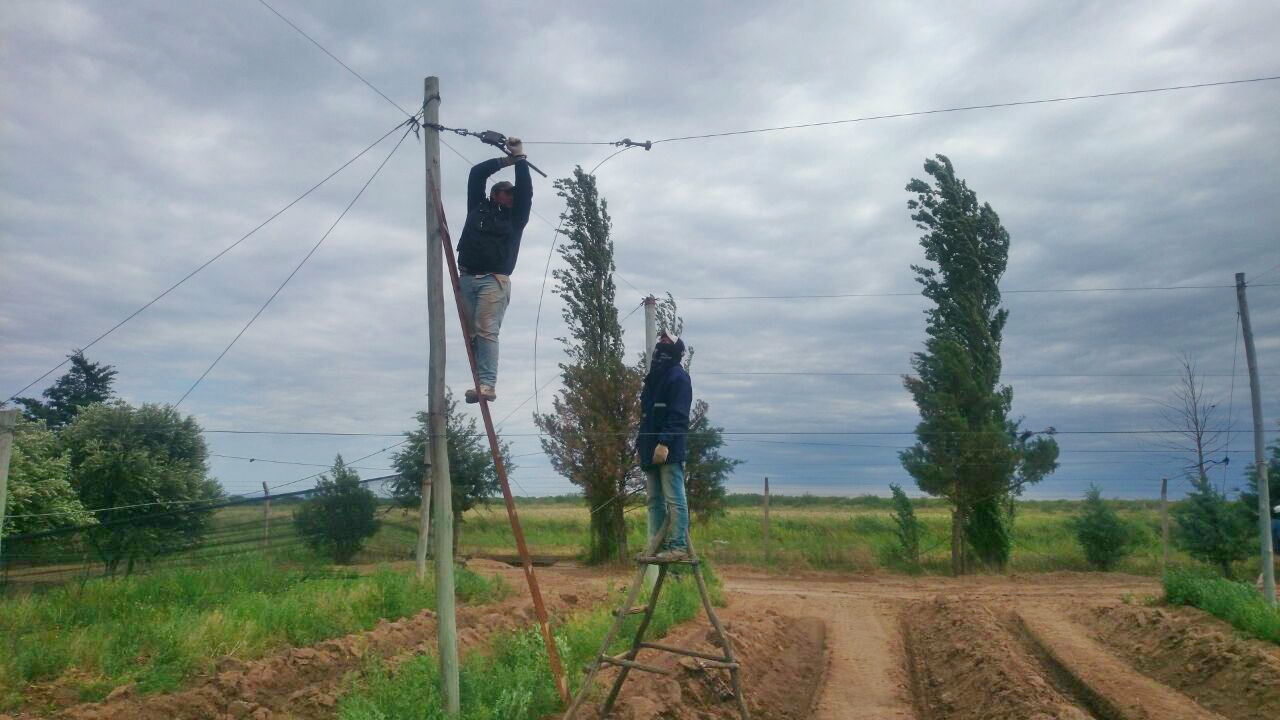 Acondicionan el predio de “Sol Puntano” para proteger su producción contra el granizo