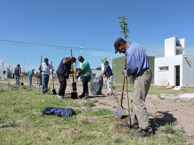 Tilisarao: forestaron con frutales el barrio 50 Viviendas