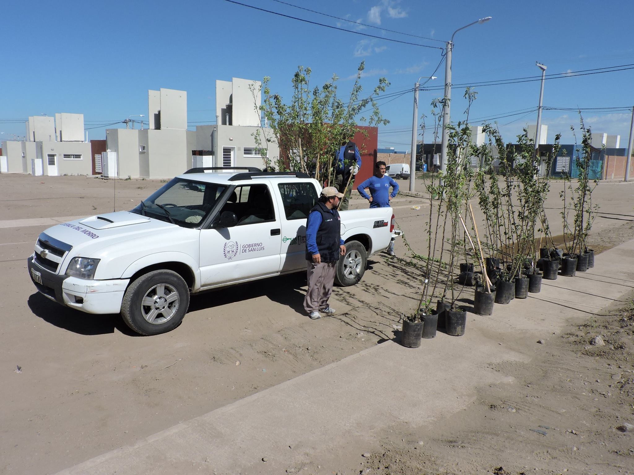 Plantarán frutales en las viviendas entregadas por el Gobierno de San Luis