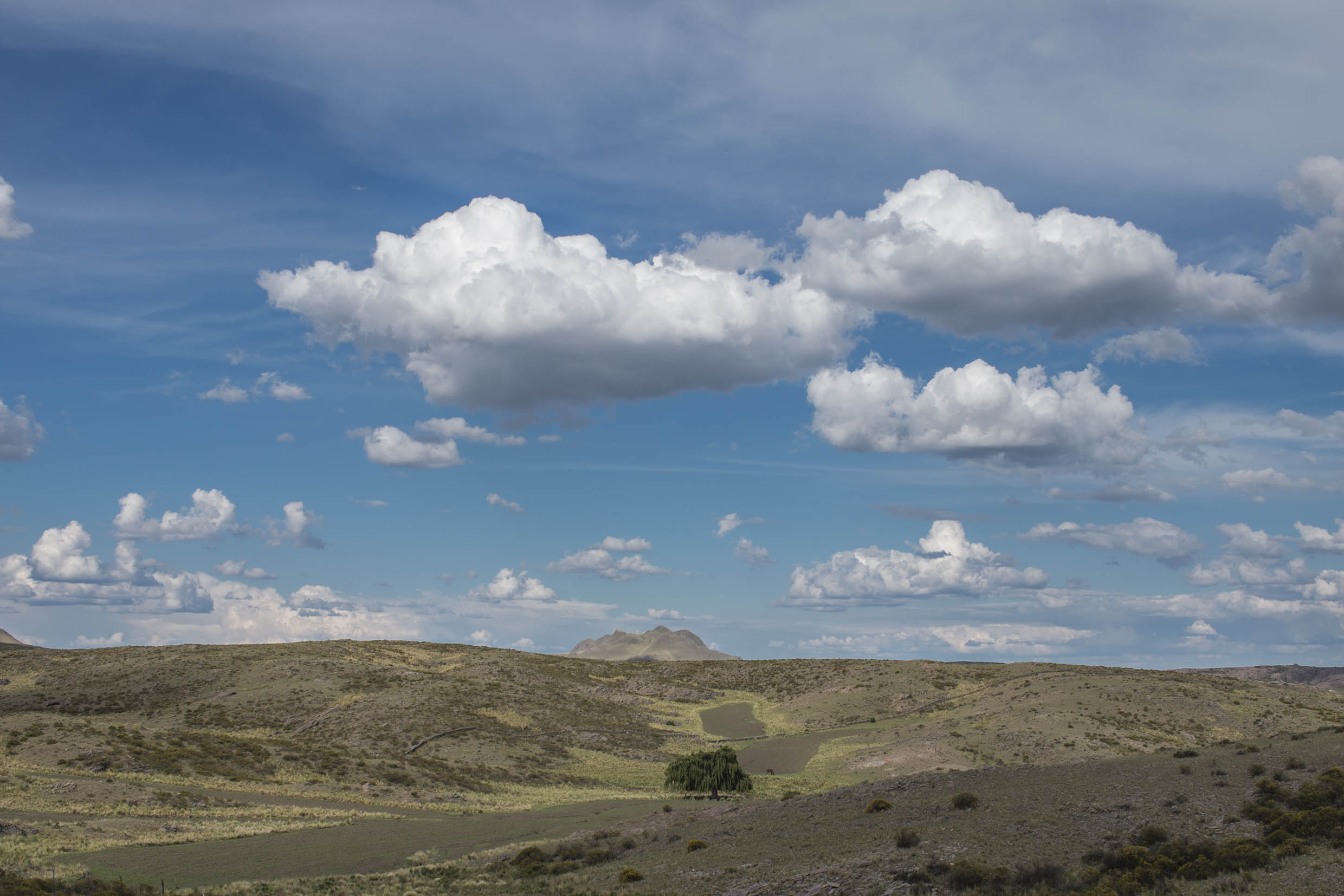 El 2017 comenzará con altas temperaturas e inestabilidad