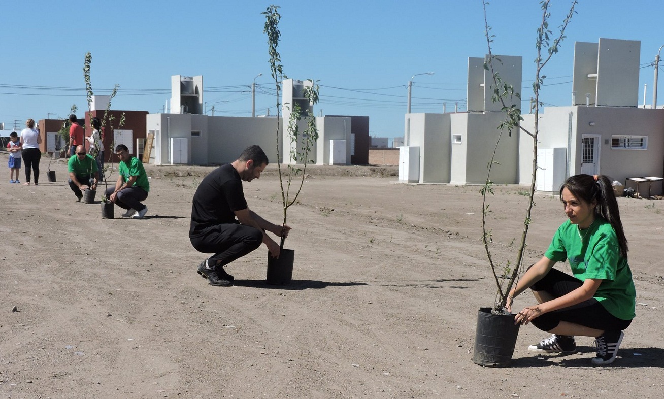 La Punta: este sábado la forestación llegará al barrio 900 Viviendas