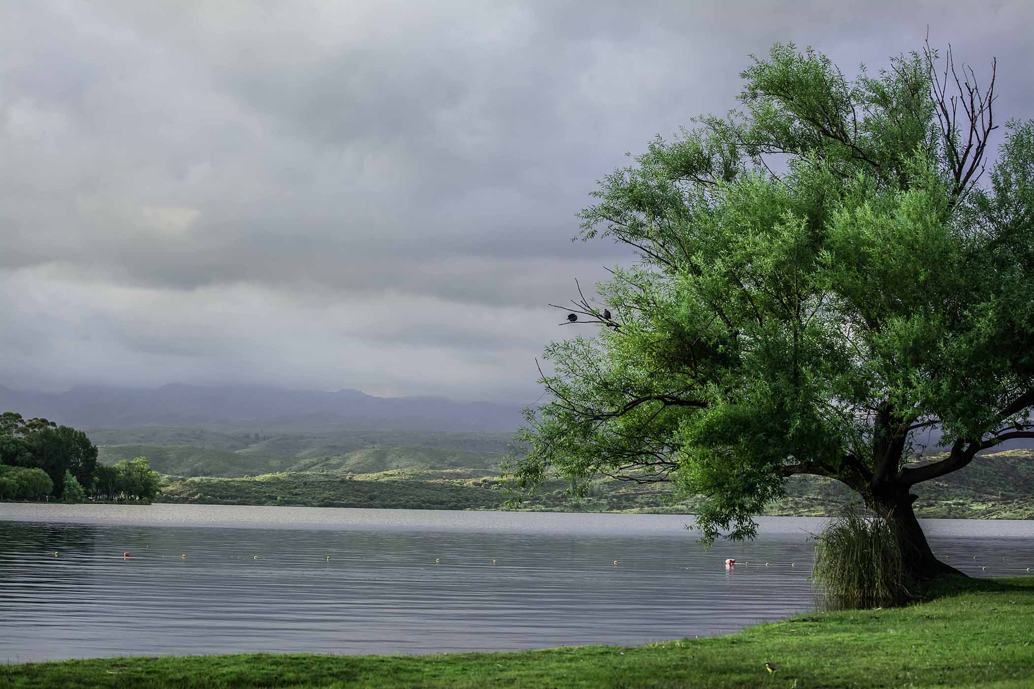 ¿Navidad con lluvia en San Luis?