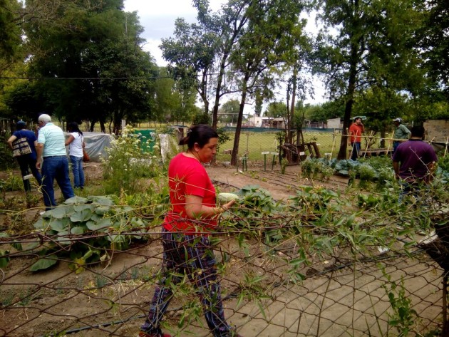 Las huertas creadas por los trabajadores ya dieron sus frutos.