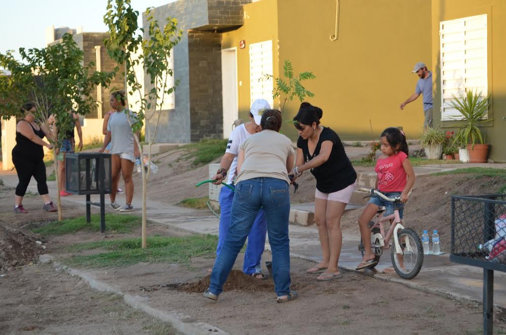 Finalizó la forestación del Barrio 900 Viviendas