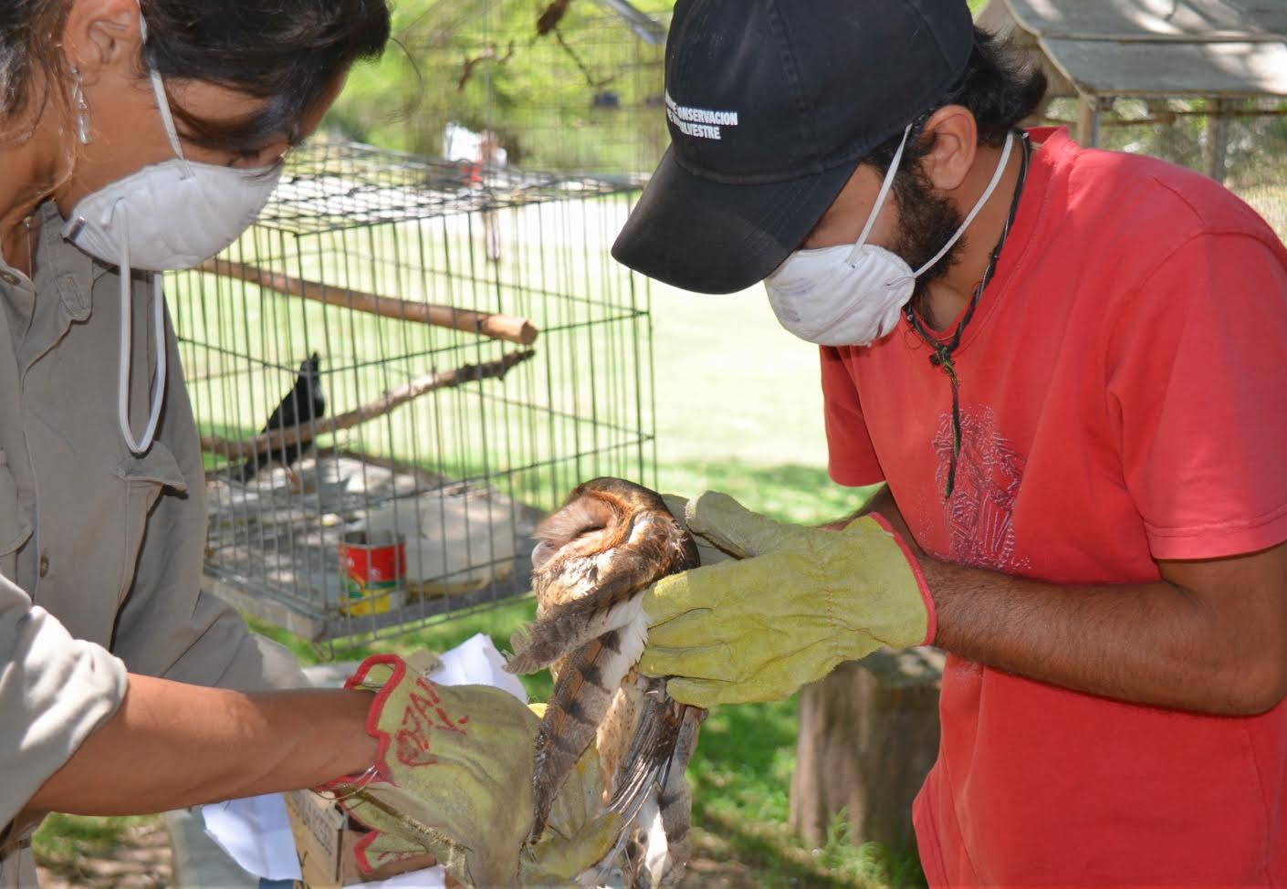 El Centro de Conservación de Vida Silvestre recibió animales decomisados de Villa Mercedes